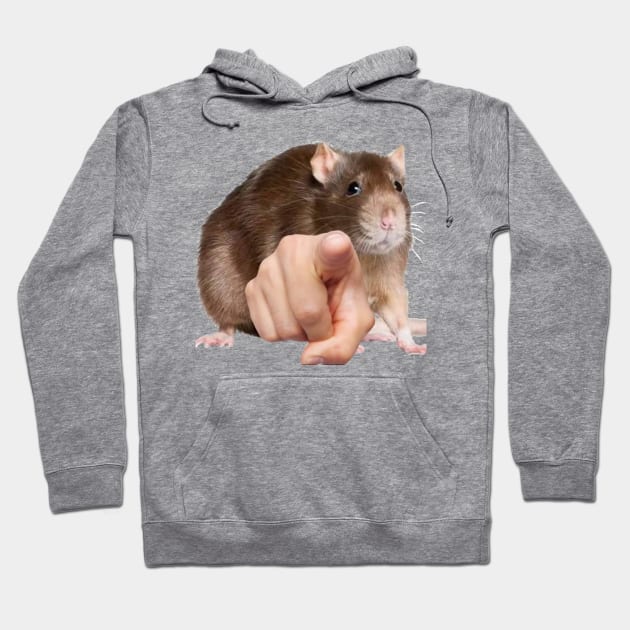 Accusing Rat! Hoodie by DaneLowFi